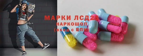 прущие грибы Коряжма