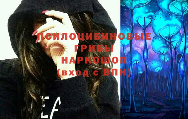дживик Алексеевка