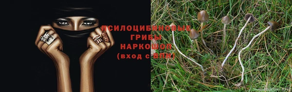 дживик Алексеевка